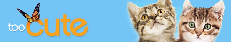 Banner voor Too Cute