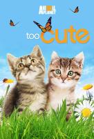 Poster voor Too Cute
