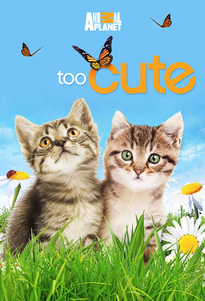Poster voor Too Cute
