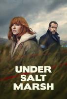 Poster voor Under Salt Marsh