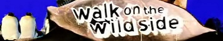 Banner voor Walk on the Wild Side