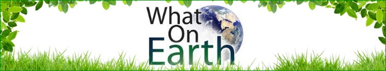 Banner voor What on Earth?