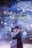 Poster voor While You Were Sleeping