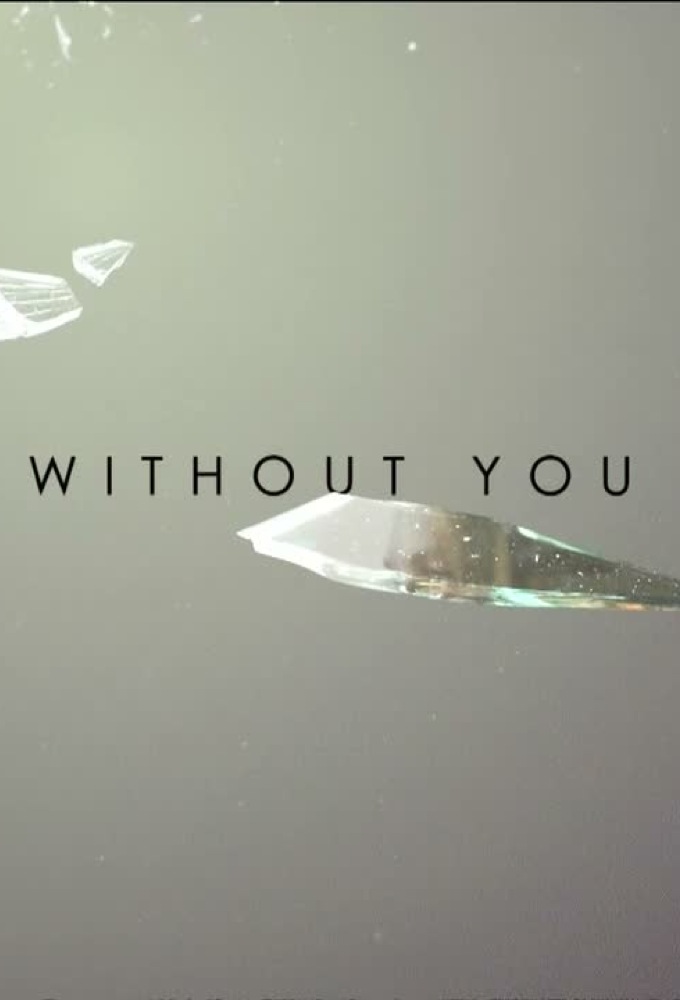 Poster voor Without You